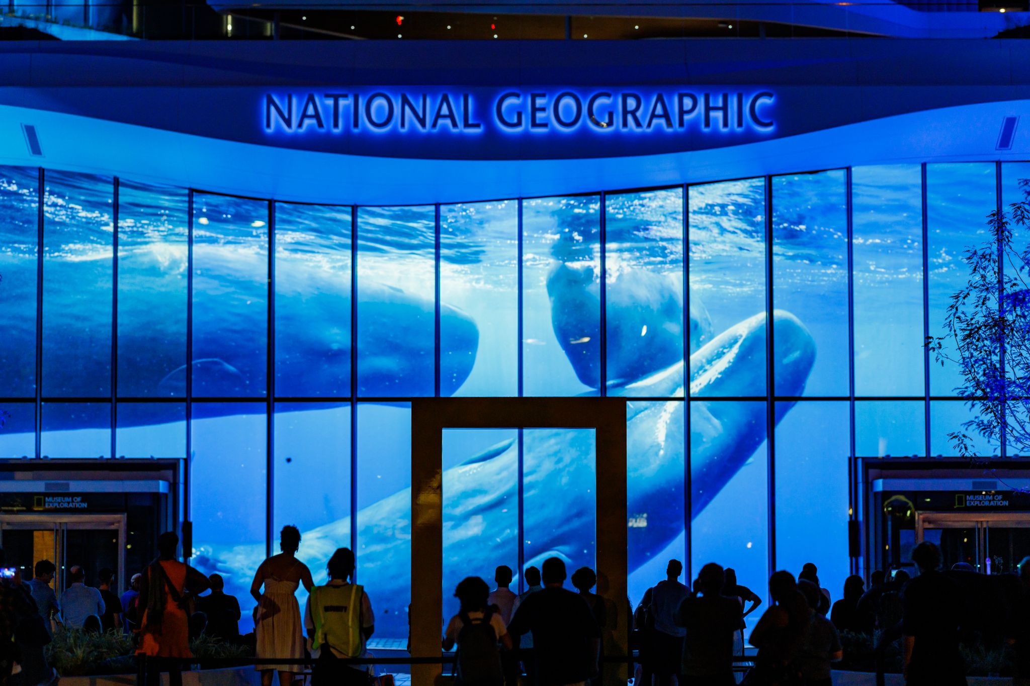 National Geographic Museum of Exploration